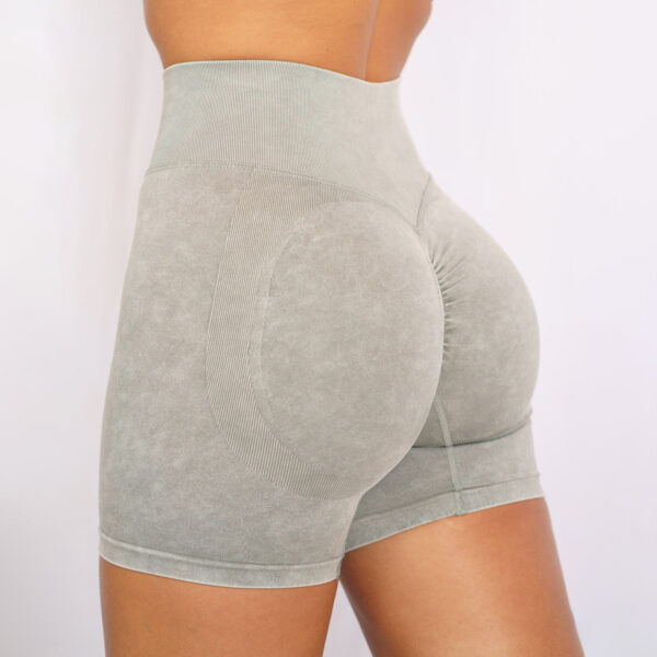 Stonewash Scrunch Seamless Shorts